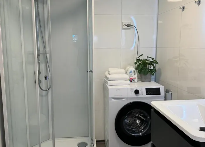 Mini In Centre Of Lägenhet *